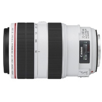 Canon EF 70-300mm f/4.0-5.6 L IS USM