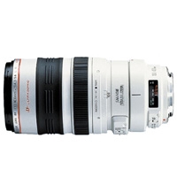Canon EF 100-400mm f4.5-5.6L IS USM