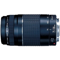 Canon EF 75-300mm f4.0-5.6 III