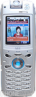 NEC C313