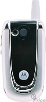 Moto V600