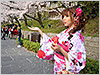Nikon Coolpix A 關西櫻花之旅 實拍分享！